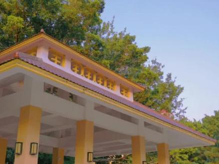 B+底部考生填冲高志愿学校推荐#2023中考 #深圳高中 #家有中考生 #初升高 #学校