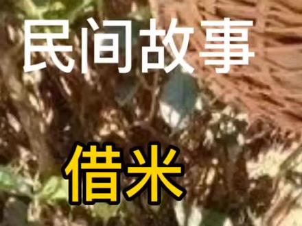 #支持抖音传播正能量让世界充满爱 《借米》《下》@杰妮传媒创始人—杰老板