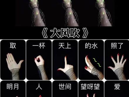 #跟拍 《大风吹》#手势舞 教程示范图