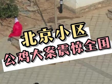 次渠嘉园大公鸡案轰动京城 #北京 #大公鸡案 #万万没想到 #震惊