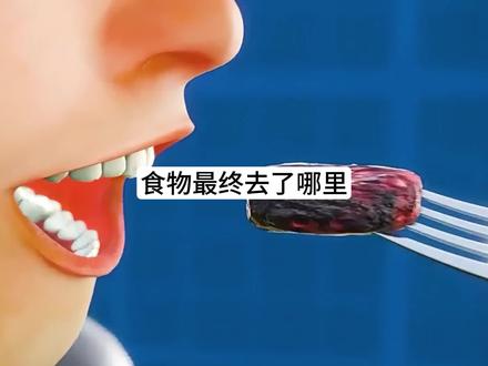 食物是如何变成便便的,它又将去往那里?#知识科普 #食物 #人体