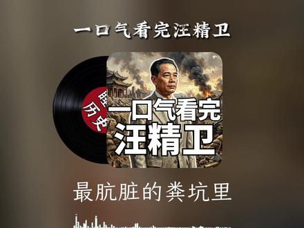 一口气看完汪精卫 #民国历史 #助眠 #睡前故事
