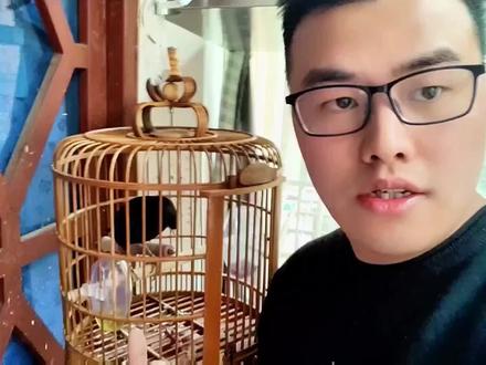训鸟保姆级攻略第二期