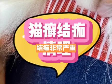 比较顽固的猫癣结痂如何清理,一招轻松搞定#猫癣