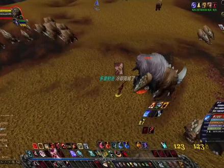 兽王猎,野外a怪与做任务的不同玩法!魔兽世界 #魔兽世界