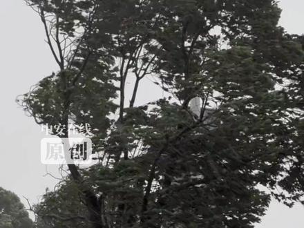 冷冷冷冷寒潮冷冷冷冷 全国网友集体喊冷刷屏 #冷冷冷冷寒潮冷冷冷冷 #寒潮 #寒潮来袭 #寒潮来袭注意保暖