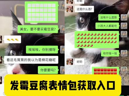 霉豆腐表情包 万物皆可霉豆腐 霉豆腐微信表情包 霉豆腐微信版 #霉豆腐表情包 #万物皆可霉豆腐 #霉豆腐微信表情包 #霉豆腐微信版 #剪映 霉豆腐表情包下载 做霉豆腐的表情包