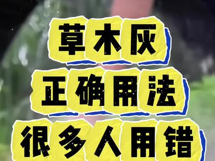 你给蔬菜用的草木灰没效果?是你根本就没用对,今天就教你草木灰 到底怎么用#种菜 #草木灰 #草木灰的作用 #种菜小技巧 #种菜
