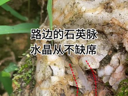 去南方看石头,眼尖才行啊#户外捡石 #水晶在哪里