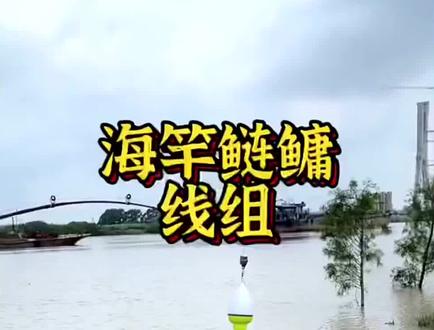 水怪钓笼鲢鳙钓组海竿爆炸钩套装鱼钩水雷大头胖头专用钩钓笼全套#浮钓鲢鳙 #钓鱼人 #2023dou来钓鱼