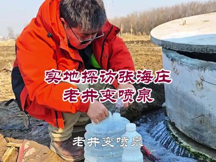 都说保定一亩泉沉寂近60年后复活了,今天实地探访竞秀区张海庄村#航拍摄影 #记录真实生活#老井#喷泉 #一亩泉 @夜里看海.