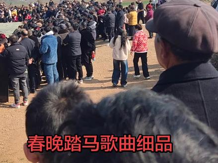 #春晚 #春晚踏马歌曲#春晚#春晚歌曲踏马歌词细品