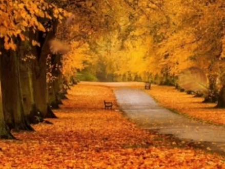 用关键帧把图片变动态视频的两种方法,教程安排上,你必须要学会。#剪辑教程 #关键帧 #图片变动态视频 #剪映教程 #一学就会