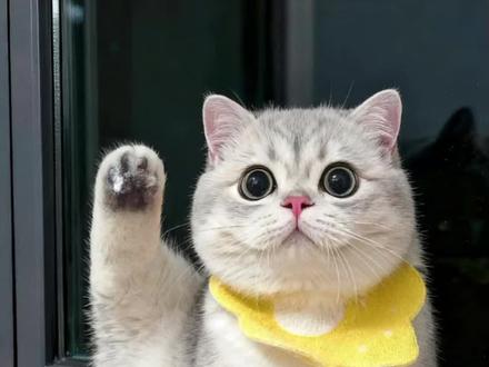 哇,我捉到了超稀有精灵,快来试试吧 #洛克王国异色精灵攻略 #我抓到了稀有精灵你也来试试吧 #醒图焚决的神 #质感美学 #洛克王国 洛克王国了不起的天分 洛克王国了不起的p图 洛克王国了不起的p图素材 洛克王国素材图片 洛克王国手游 了不起的天分贴纸 了不起的天分素材 了不起的天分p图教程