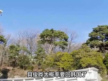 具俊晔大概率要回韩国了,不是因为他放下了,而是这一年在台