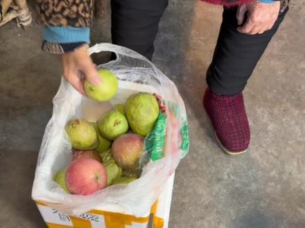 回复 @^0^的评论 刷抖音还是有用的!大数据刷到了 催熟芭乐方法 放个苹果 果然!放不软的真的可以试一下姐妹们~#芭乐