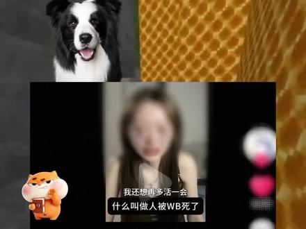 视频内容对事不对人!!我无意引导任何网暴!请大家理性看待,我的视频并不是巧克力!#边牧 #吐槽 #高智商 #大牙顽顽崽 #热门