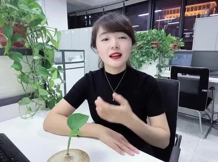 坐拥近5000W粉丝的李子柒,为什么突然断更消失了?#李子柒 #网红 #粉丝 #股权设计 #公司 #商标 #股权 #干货
