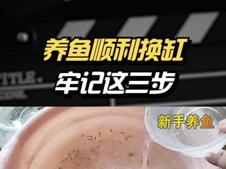 搬家换鱼缸,如何换缸,希望给你一些参考 #新手养鱼 #换缸操作 #换缸 #养鱼知识