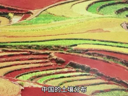 #中国地理 、中国的土壤分布