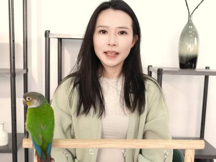 鹦鹉应激该怎么办? #鹦鹉 #宠物 #鹦鹉日常 #抖in萌宠计划 #萌宠出道计划