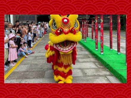 北狮和南狮有什么区别!#弘扬和传承民俗文化 #舞狮表演