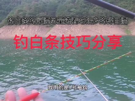 钓白条看似简单,可是要把它钓好钓精,那也是需要技术的