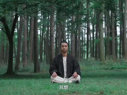 冥想,就是走进内心的森林#冥想 #打坐 #正念 #修行 #疗愈