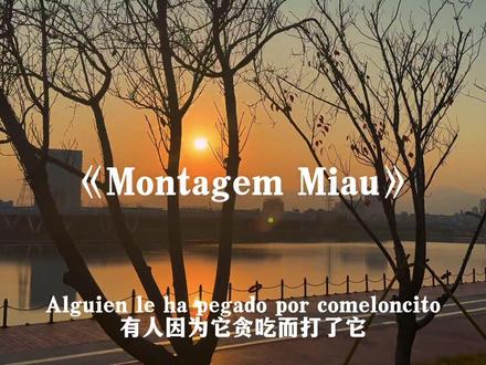 喵喵歌#MontagemMiau#挖你的鼻孔尿尿#音乐分享#戴上耳机
