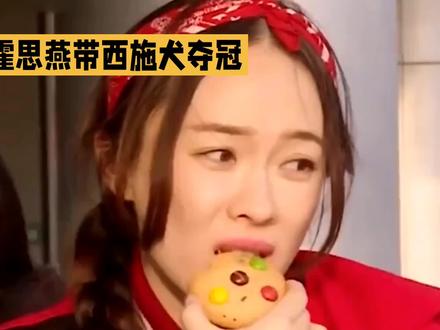 旗袍+西施犬!霍思燕这波东方美学输出杀疯了, 从不足2公斤到世界冠军,霍思燕的福宝太好哭了