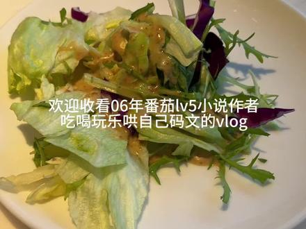 欢迎收看了06年有点小钱的番茄lv5小说作者吃喝玩乐哄自己码文的vlog#vlog日常 #vlog #番茄小说 #番茄小说作者 #网文作者的日常