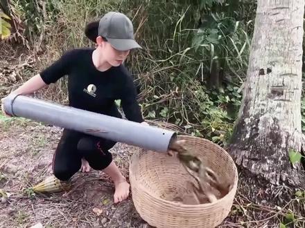 越南美女用塑料水管制作捕鱼陷阱,里面的黄鳝又大又粗#户外捕鱼 #农村生活 #抓鱼 #户外 #捕鱼达人