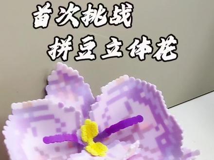 蝴蝶兰立体拼豆挑战成功!!
图纸来源:🍠@耶!是皮皮
简单小花 拿捏拿捏😎🤗
#拼豆 #拼豆豆 #蝴蝶兰 #立体拼豆花 #拼豆diy手工