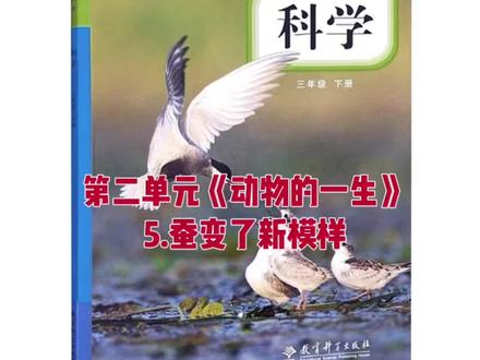 三下科学实验视频。#创作者中心入口 教科版科学三年级下册第二单元《动物的一生》第5课蚕变了新模样
