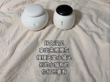 不知道会不会有争议,但是还是很想发 #宠物去世后该怎么处理