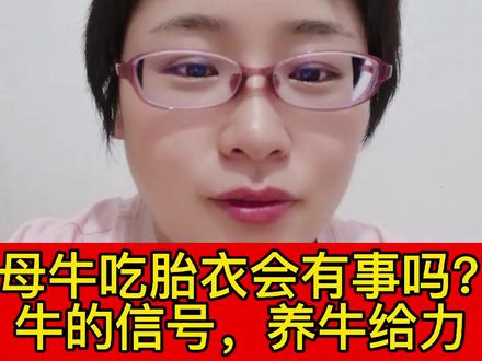 #养牛 #养牛人 #肉牛 #肉牛养殖 母牛吃胎衣怎么办