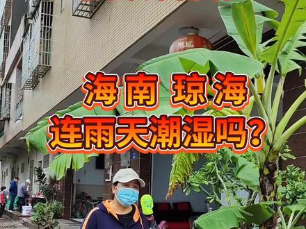 海南琼海连雨天潮湿吗#记录退休生活