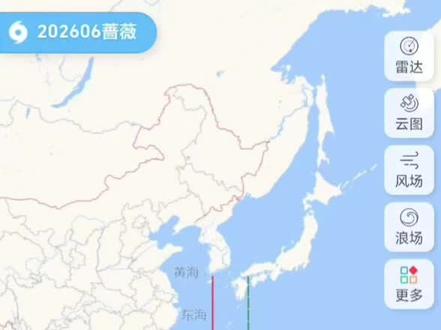 台风蔷薇 #第6号台风蔷薇 #台风 #台风蔷薇 #台风最新消息 #台风最新消息台风实时路径 台风蔷薇未来路线有大变,不排除影响我国的可能