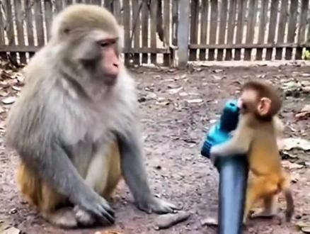 今日热点快报 #热点 #热点新闻事件