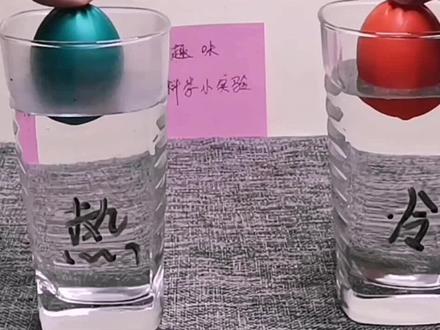 #科学知识 #家庭小实验 #趣味科学小实验 气球放到水中一个下沉,一个上浮?这到底是为什么?