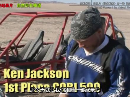 纪录片《未知生物档案》S1 E1 P1 #精讲纪录片 #纪录片解说 #未知生物 #科学探秘 #沙漠