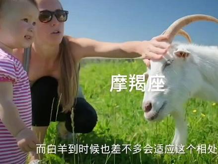 摩羯十二星座配对篇之白羊与摩羯#创作灵感 #星座 #十二星座 #摩羯座 #白羊座