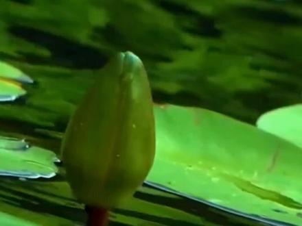 #易烊千玺 #易烊千玺演唱会 #李羲承 #李羲承符神颜