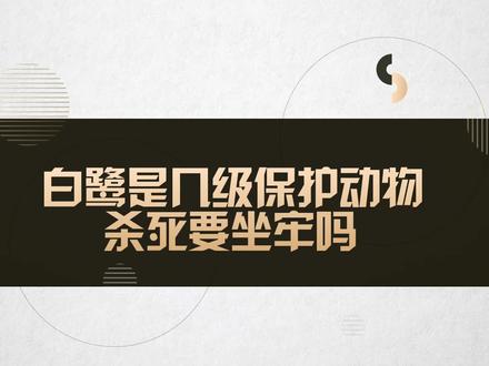白鹭是几级保护动物 杀死要坐牢吗#法律咨询 #法律知识 #法律