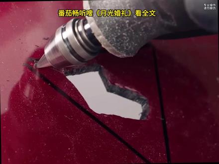 番茄畅听嗖《月光婚礼》看全文#小说推荐 #极限运动 #月光婚礼