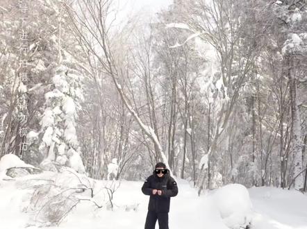 无尽冬日现实版!Tim 的冰原生存有多野 #影视飓风无尽冬日生存挑战 #tim雪地生存100小时