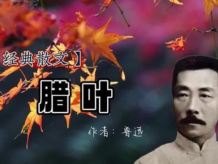 【经典散文】鲁迅《腊叶》:已无斑斓的颜色,还值得人这般爱吗? #鲁迅 #经典散文 #腊叶