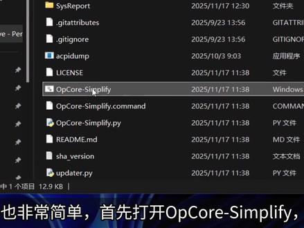 黑苹果 oc 一键生成工具#电脑知识