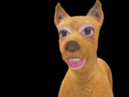 申请二搭#骄阳似我 #赵今麦 #宋威龙 #骄阳似我大结局 #聂曦光林屿森