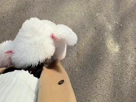 是你爸没抱你,为什么要创我?😭#人类幼崽迷惑行为 #爸爸带娃 #小樱桃👧🏻 #遛娃随拍 #大嗓门宝宝